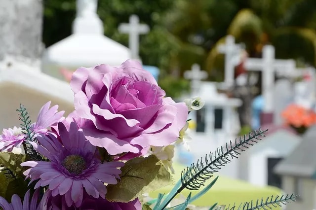 Rosas, centros funerarios para difuntos