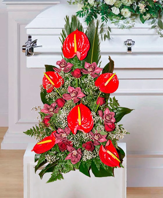 Centro Funerario Anthurium para Tenerife